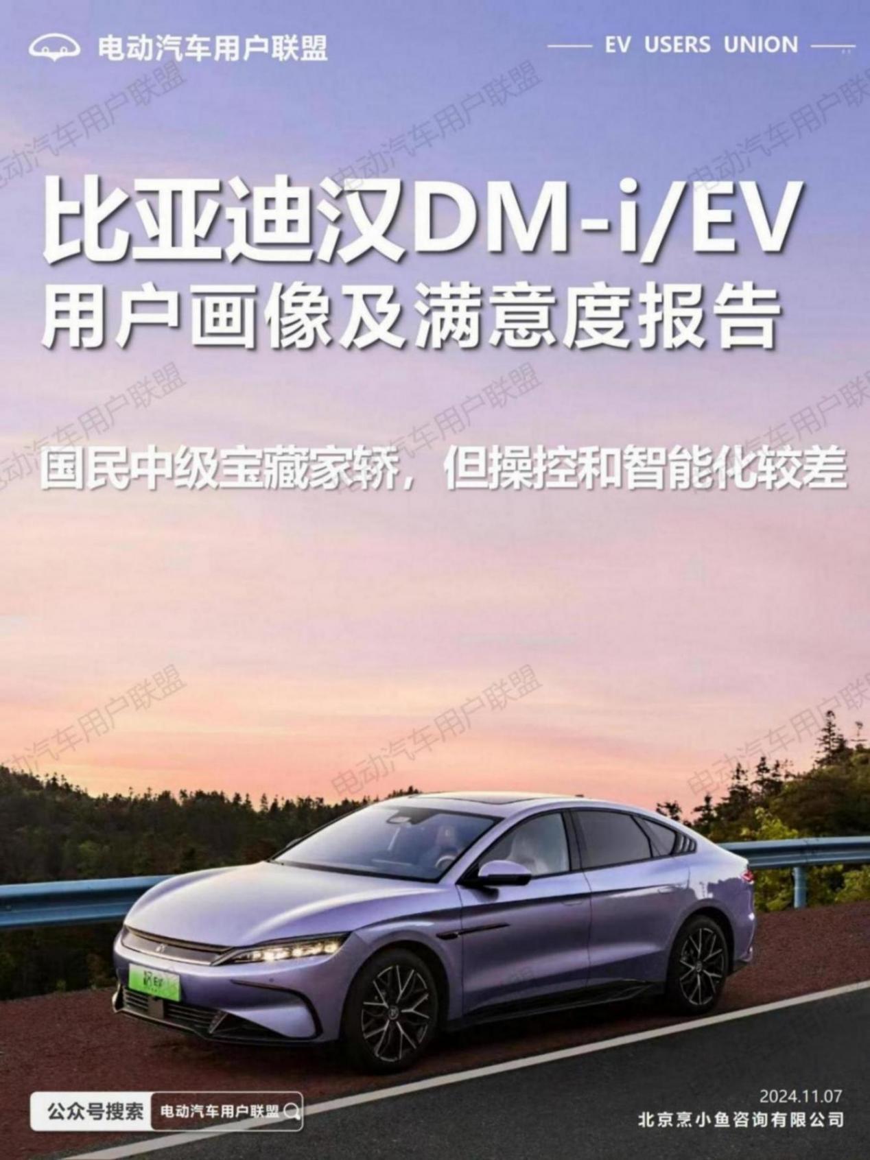 比亞迪漢EV DM-i用戶畫像及滿意度報告（1106）pptx_01.jpg